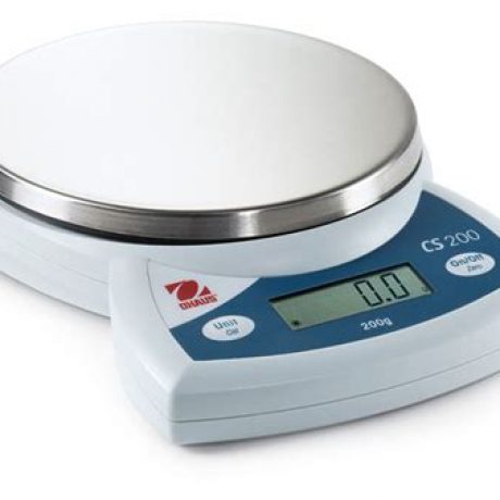 Digital Bathroom Scale