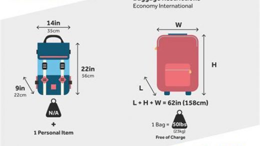 Luggage Scale Image