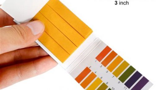 Understanding the Variety and Uses of pH Testing Kits
